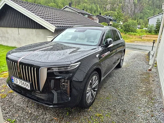 Hongqi E-Hs9