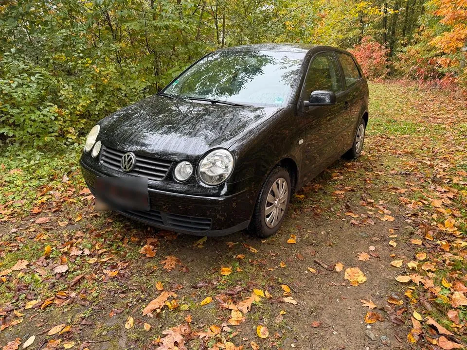 Volkswagen Polo 9N