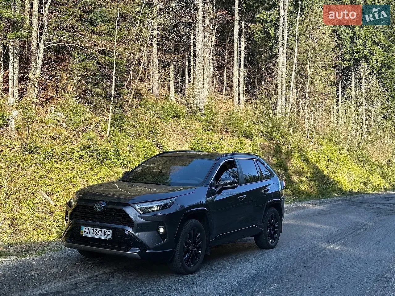 Toyota Rav4 2024 photo 2