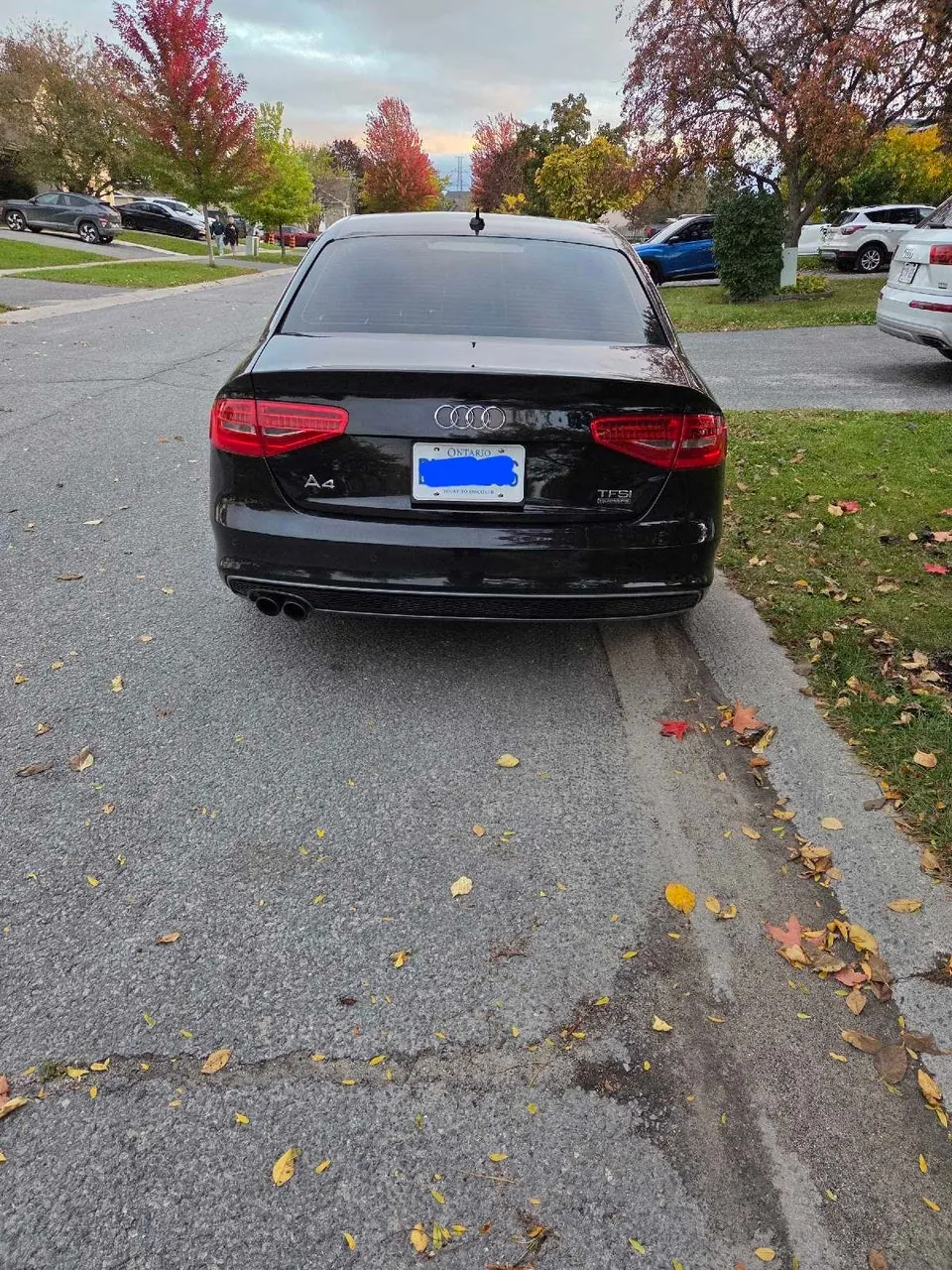 Audi A4 2015 photo 3