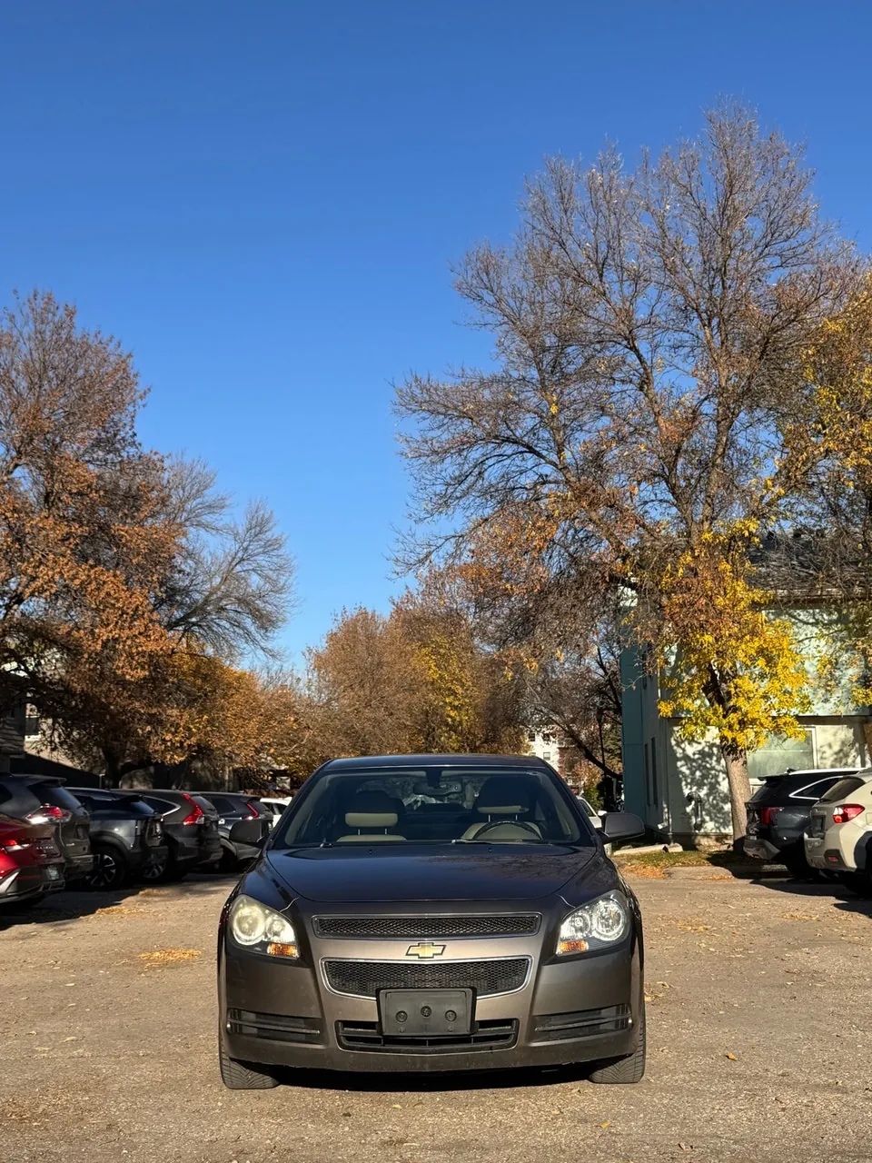 Chevrolet Malibu 2010 photo 3