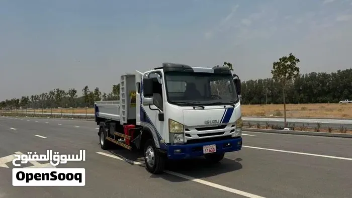Isuzu Npr 2019 photo 3