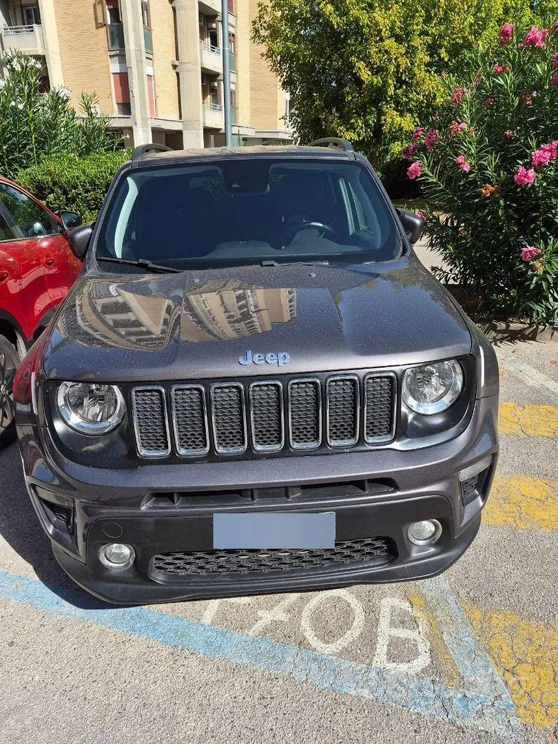 Jeep Renegade 2019 photo 2