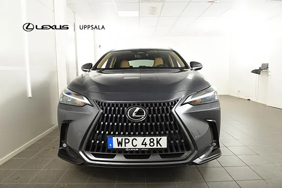 Lexus Nx450H+ 2025 photo 5