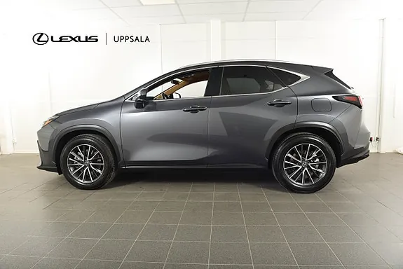 Lexus Nx450H+ 2025 photo 2