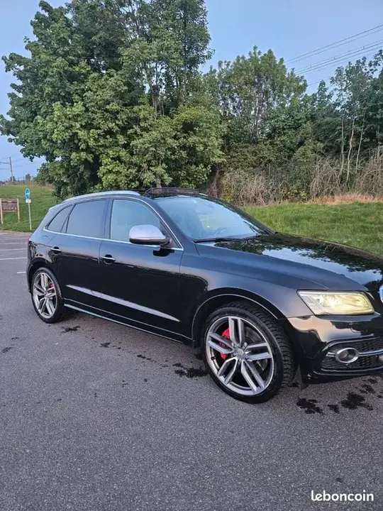 Audi Sq5 2014 photo 2