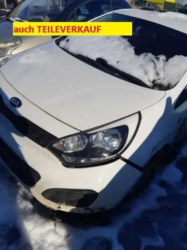 Kia Rio 2014 photo 2