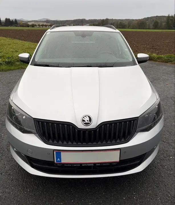 Skoda Fabia 2015 photo 3