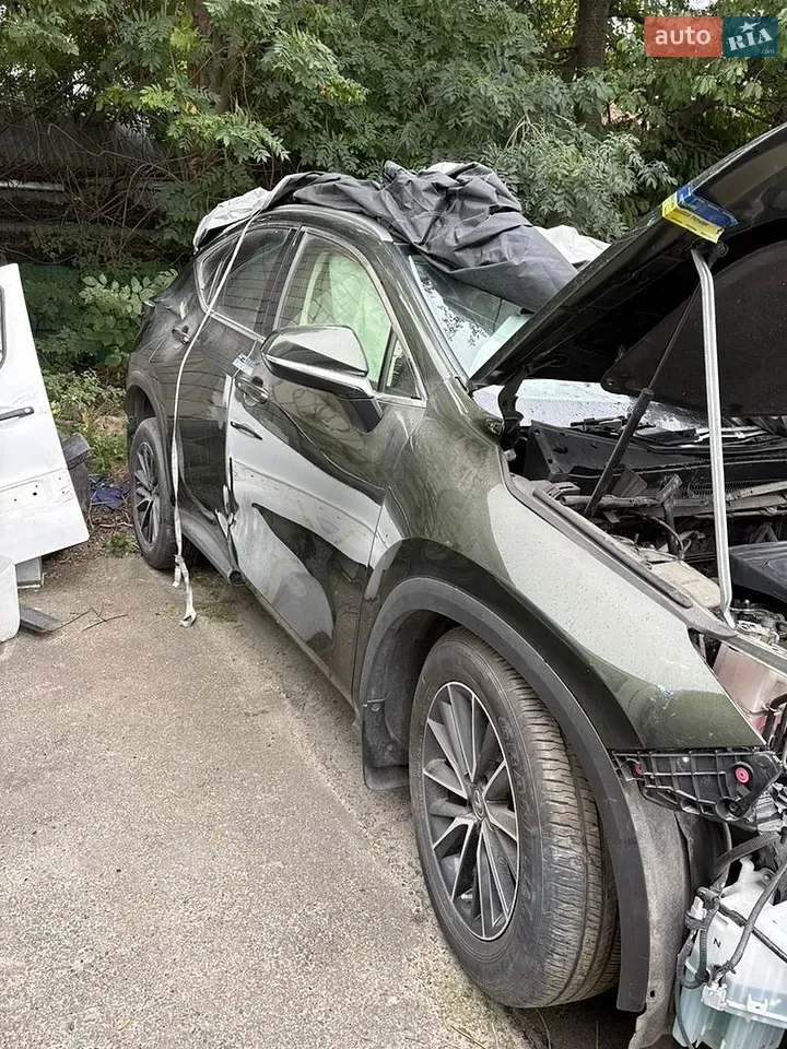 Lexus Nx 2022 photo 3