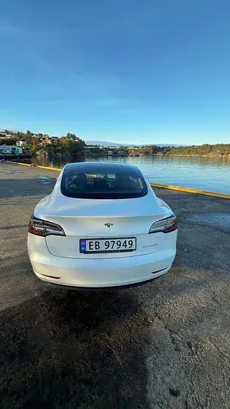 Tesla Model 3 2020 photo 4