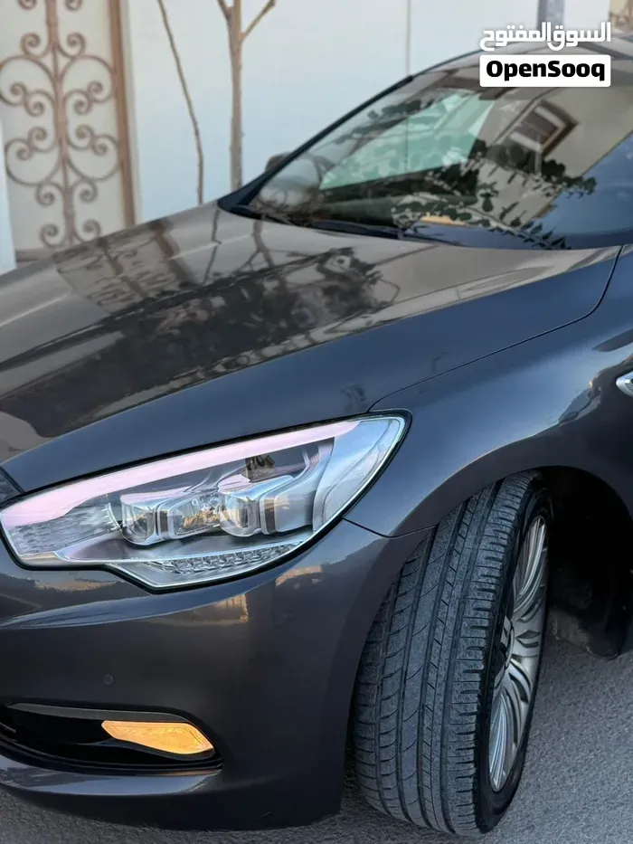Kia Quoris 2013 photo 3