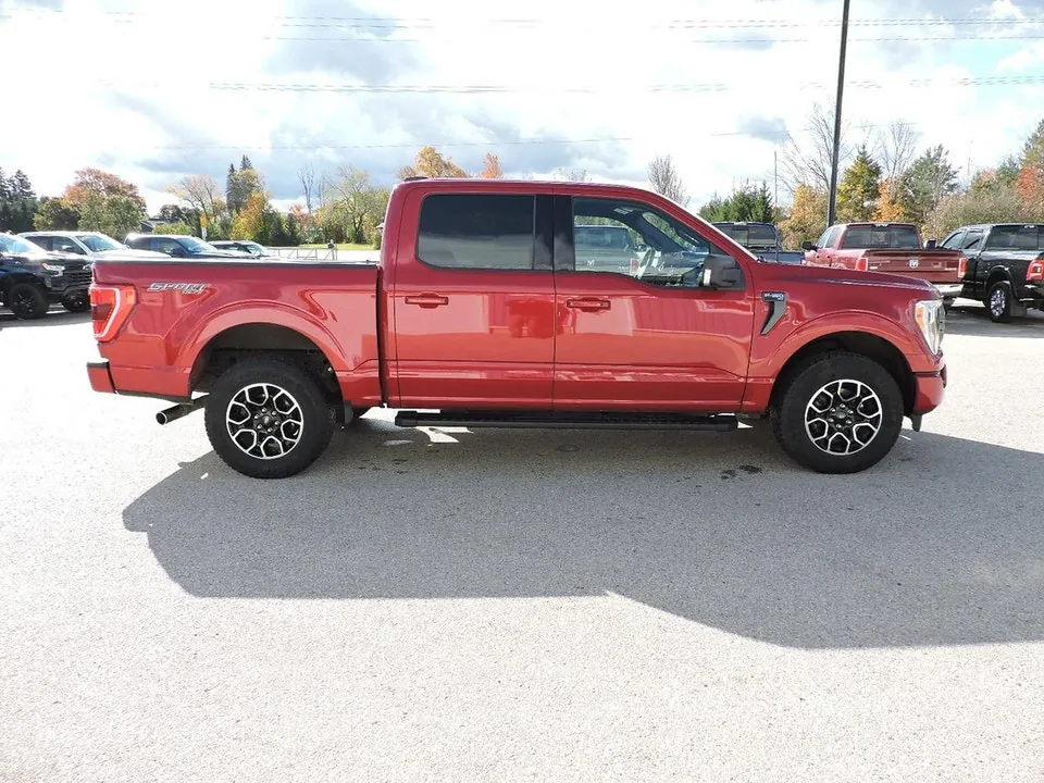 Ford F-150 2022 photo 4