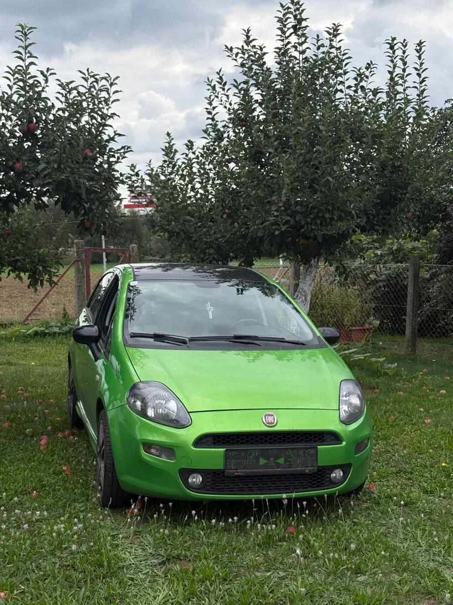 Fiat Punto