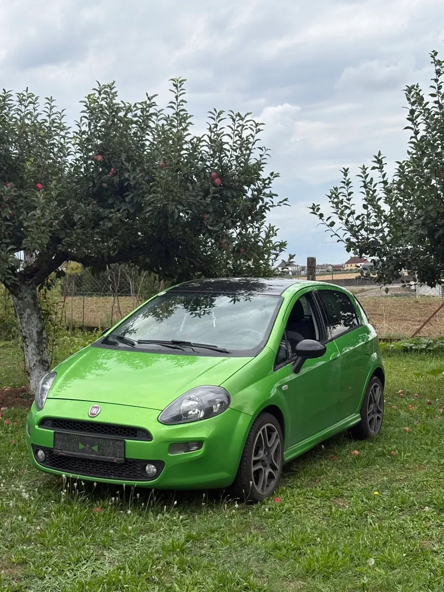 Fiat Punto 2013 photo 3