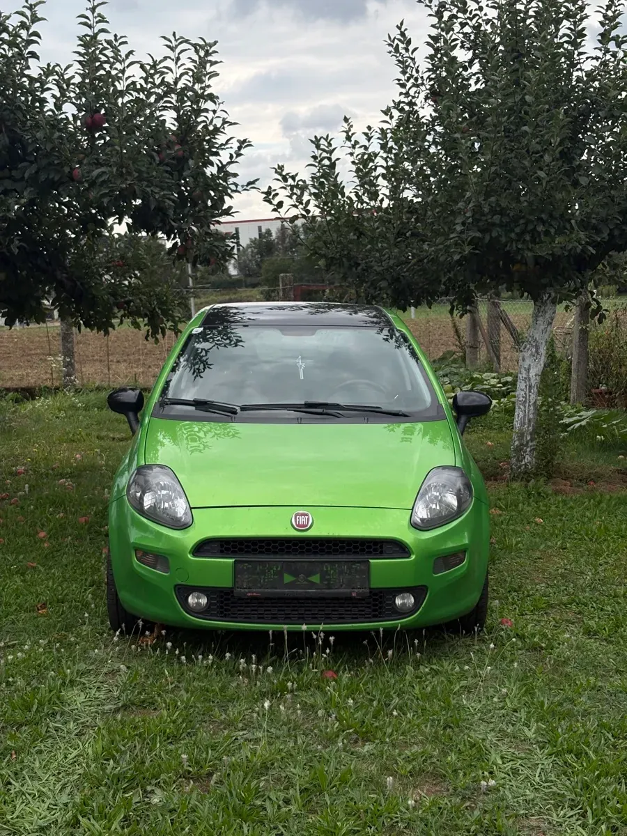 Fiat Punto 2013 photo 2