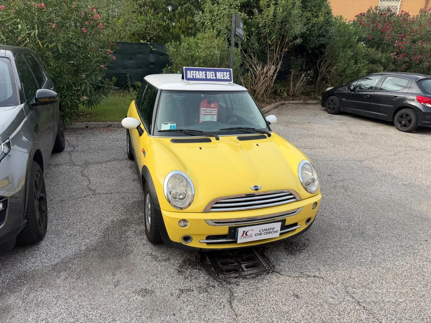 Mini Mini