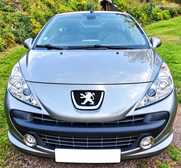 Peugeot 207 2009 photo 2