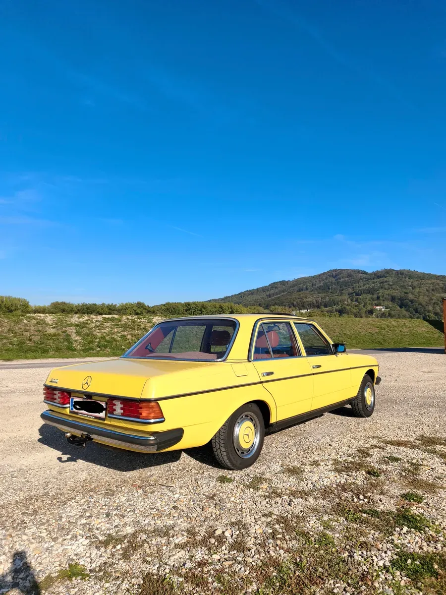 Mercedes-Benz Sonstige 1980 photo 3