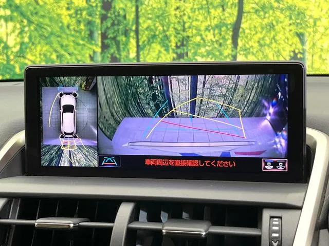 Lexus Nx300 2018 photo 5