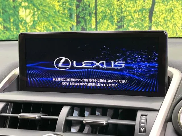 Lexus Nx300 2018 photo 4