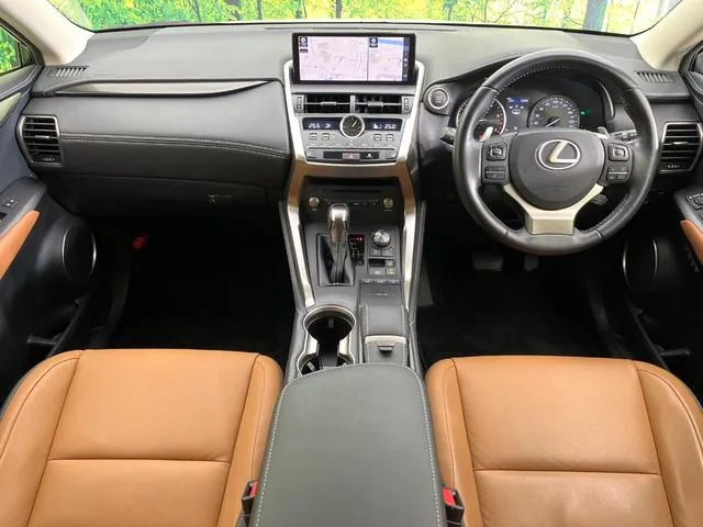 Lexus Nx300 2018 photo 2