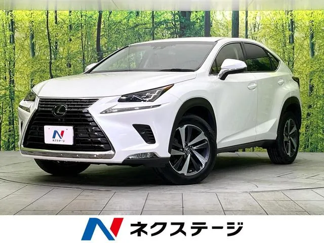 Lexus Nx300