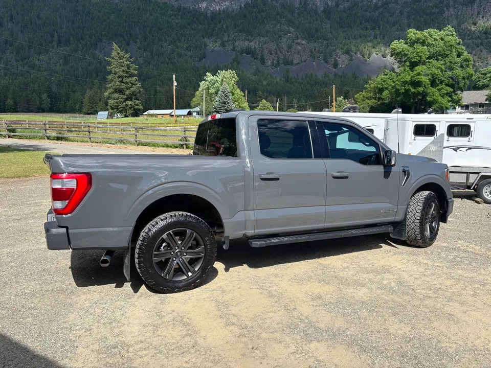 Ford F-150 2021 photo 3
