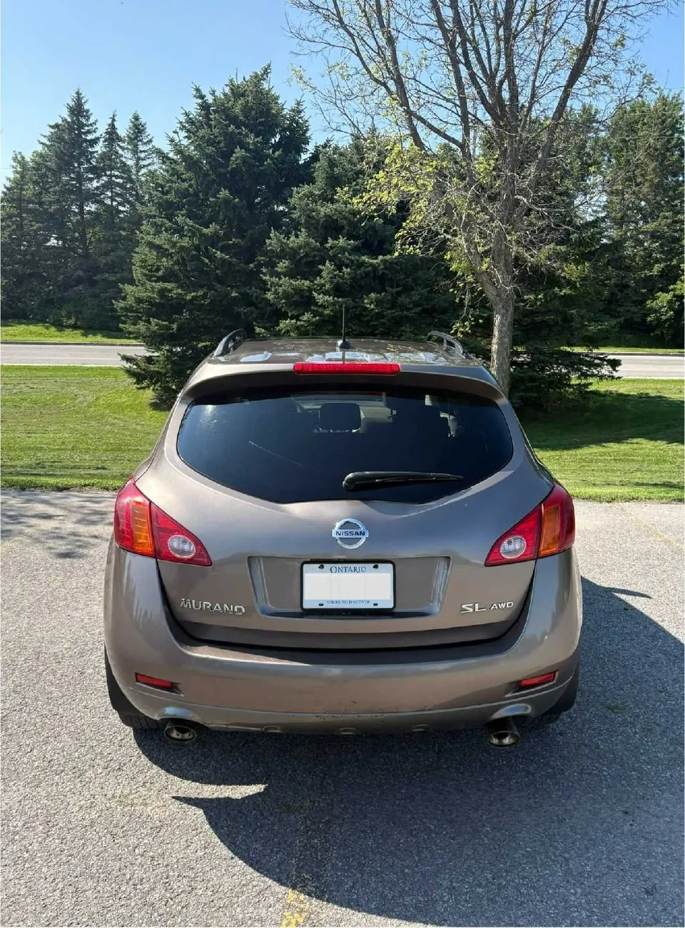 Nissan Murano 2009 photo 4