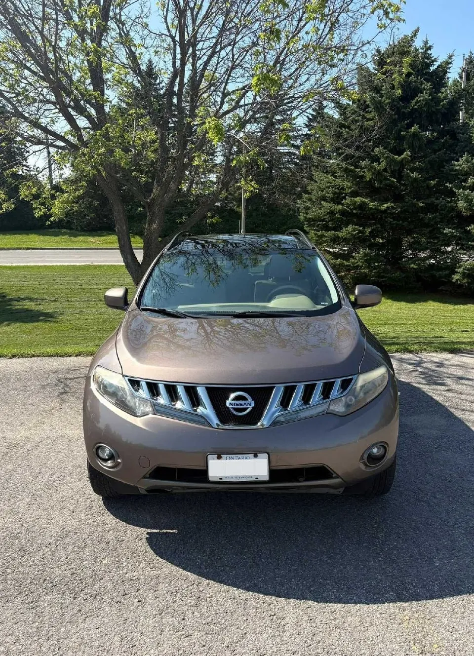 Nissan Murano 2009 photo 2