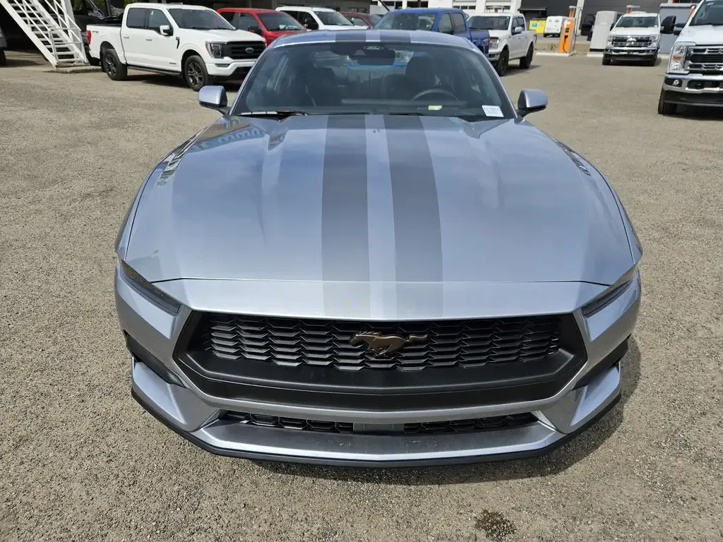 Ford Mustang 2026 photo 2