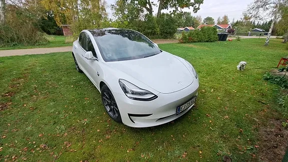 Tesla Model 3 2020 photo 3