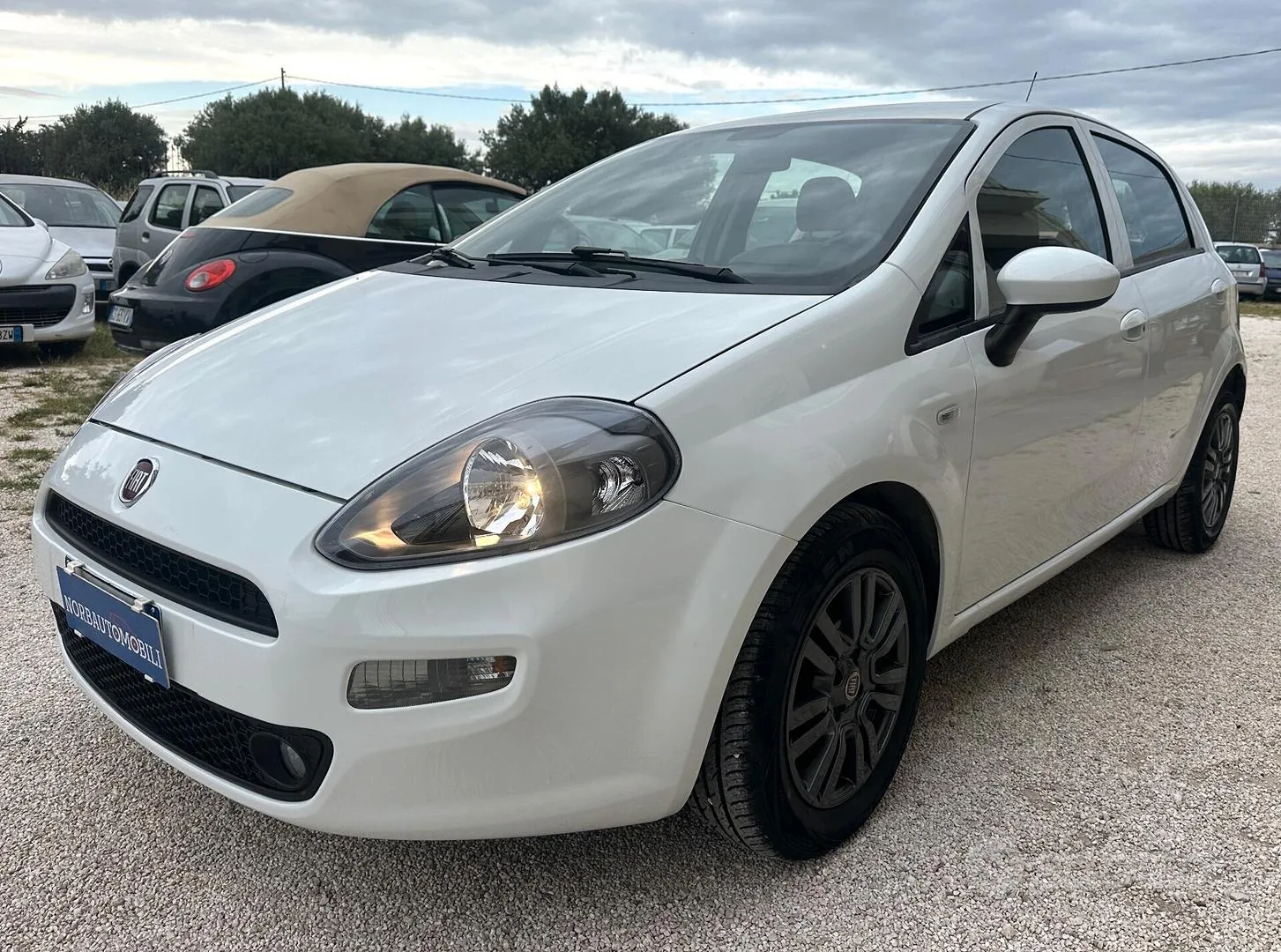 Fiat Punto