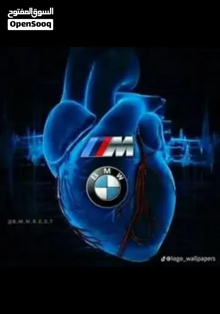 BMW 3 Series 2004 photo 3