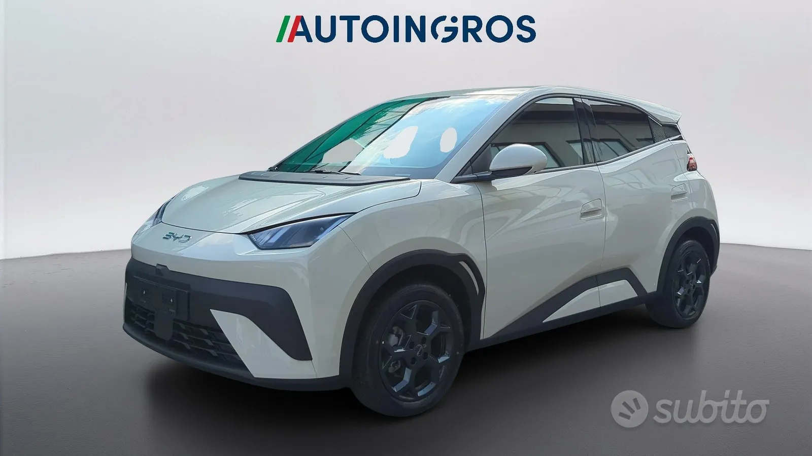 BYD Dolphin