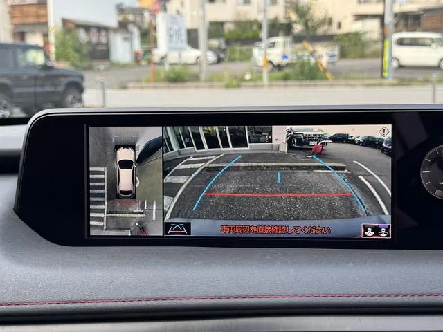 Lexus Ux250H F-Sport 2019 photo 3