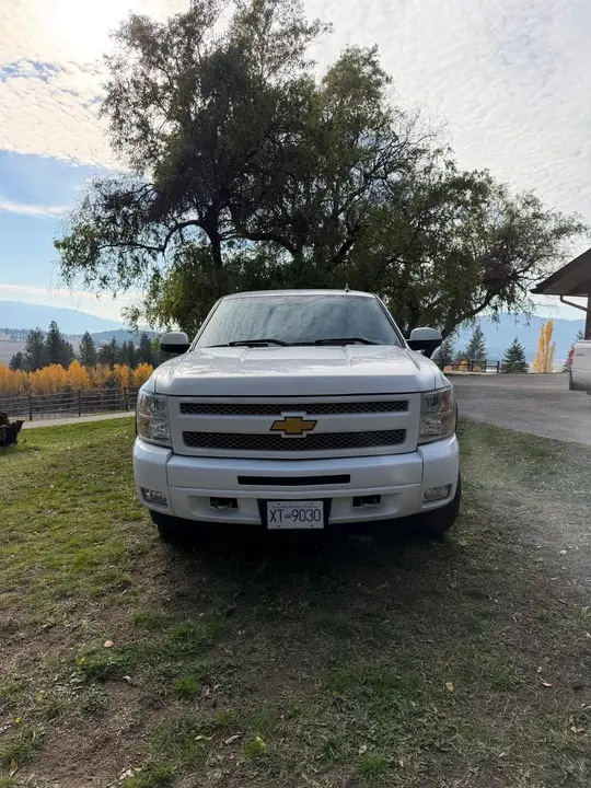 Chevrolet Silverado 1500 2009 photo 2