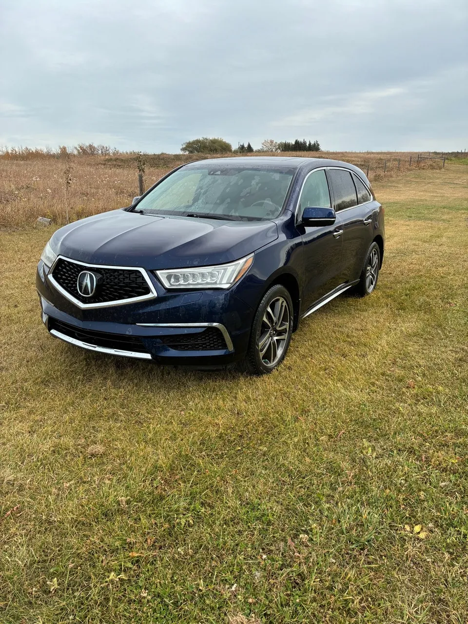 Acura Mdx 2017 photo 2