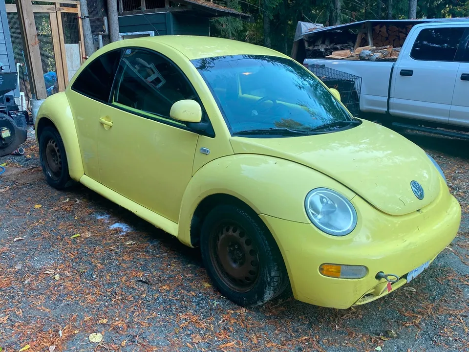 Volkswagen Beetle