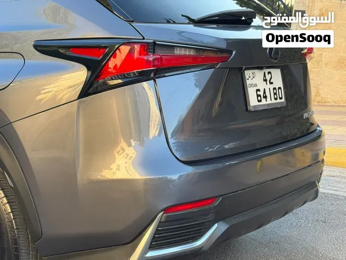 Lexus Nx 2019 photo 4
