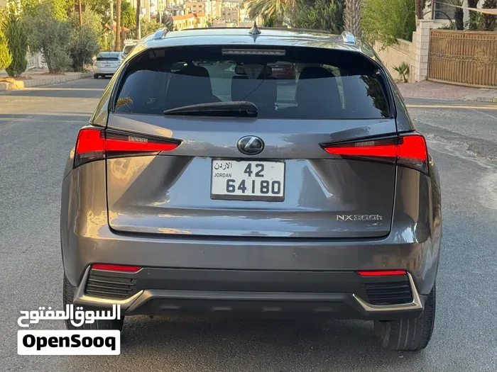 Lexus Nx 2019 photo 2