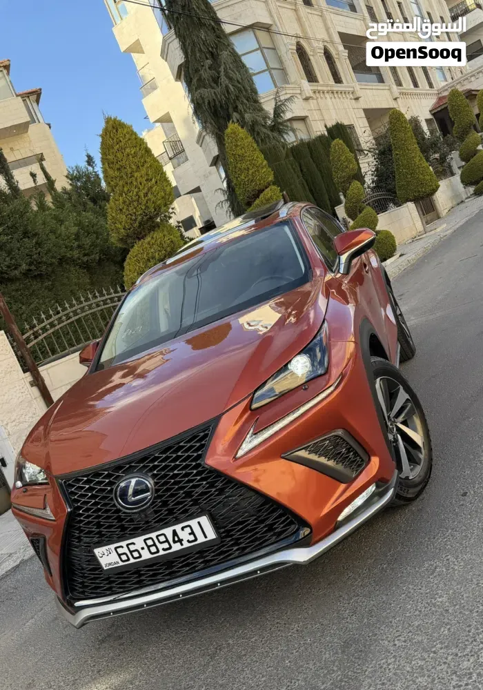 Lexus Nx 2019 photo 5