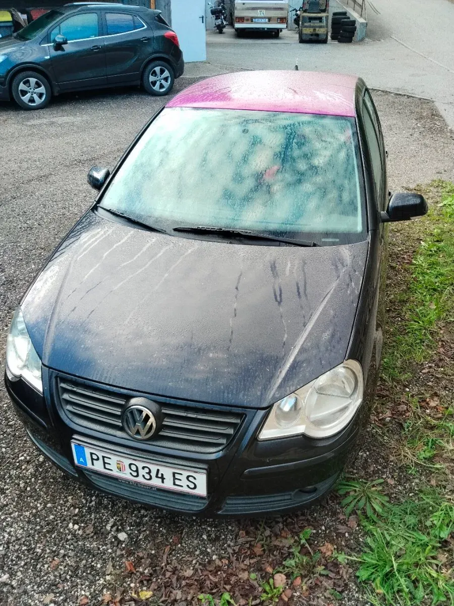 Volkswagen Polo 2005 photo 2