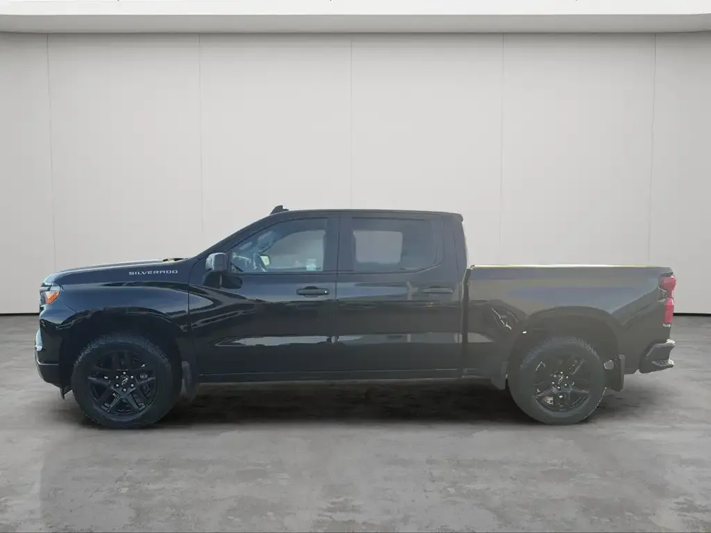 Chevrolet Silverado 1500 2023 photo 5
