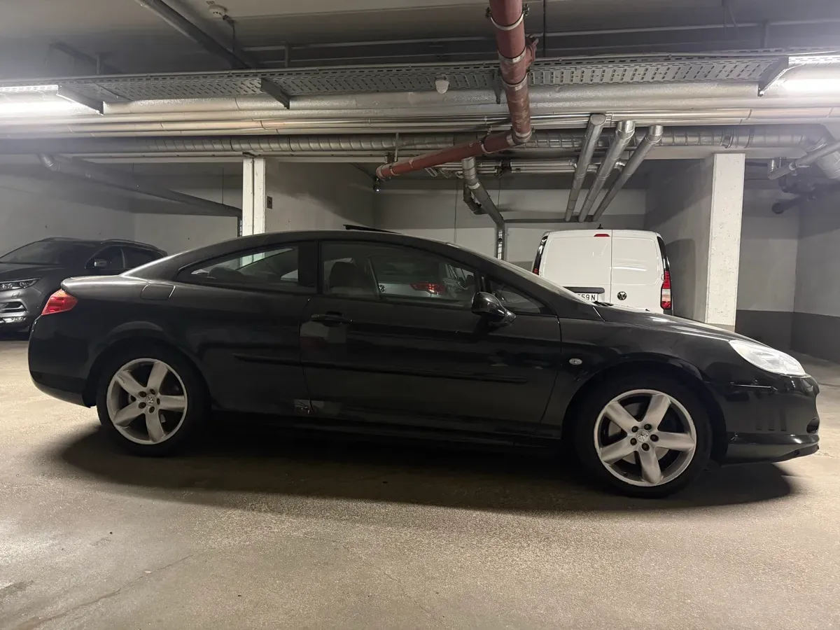 Peugeot 407 2007 photo 3
