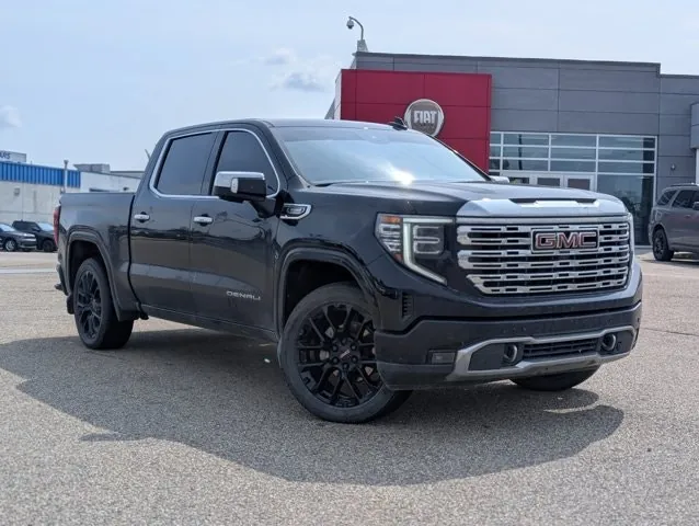 GMC Sierra 1500 2024 photo 2