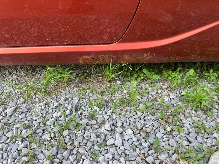 Kia Forte 2010 photo 2