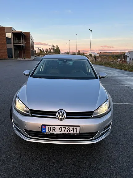 Volkswagen Golf Vii 2017 photo 5