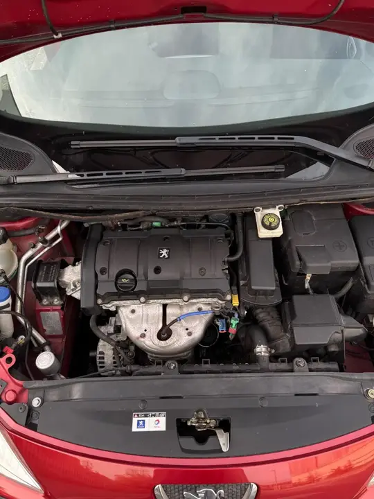 Peugeot 307 2006 photo 5