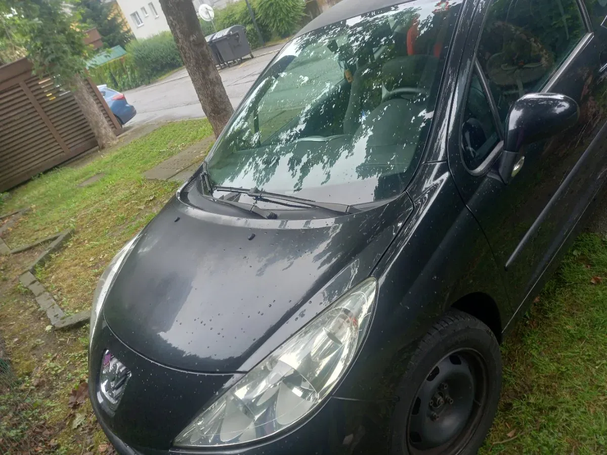 Peugeot 207 2007 photo 2