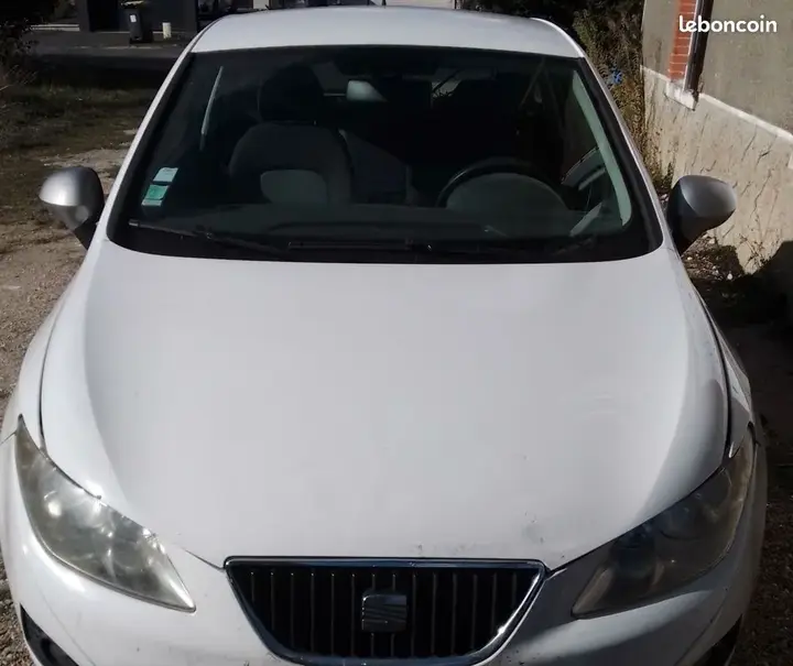 Seat Ibiza 2010 photo 3